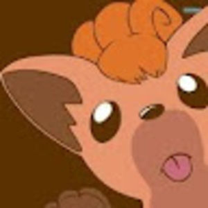 Meet your Posher, Lucy